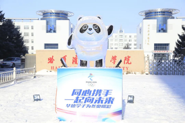 图片 13.png